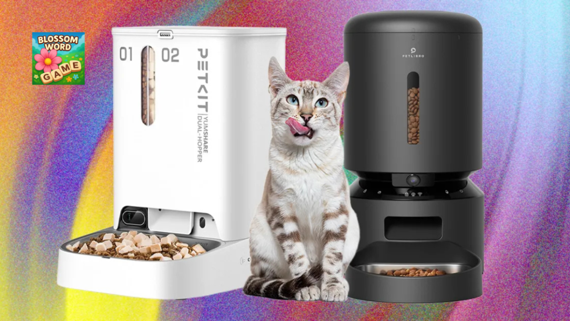 Automatic Cat Feeder: Best Models, Features & Buying Guide UK 2026