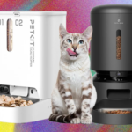automatic cat feeder